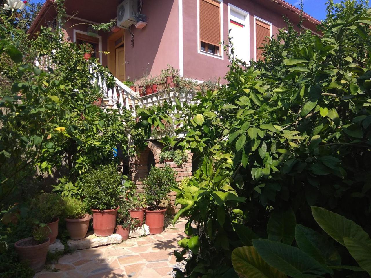 Guesthouse Hlias Gloria Berat Exterior photo